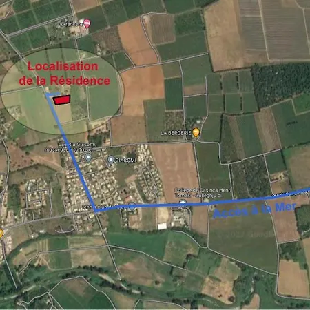 Petra Paolina Folelli