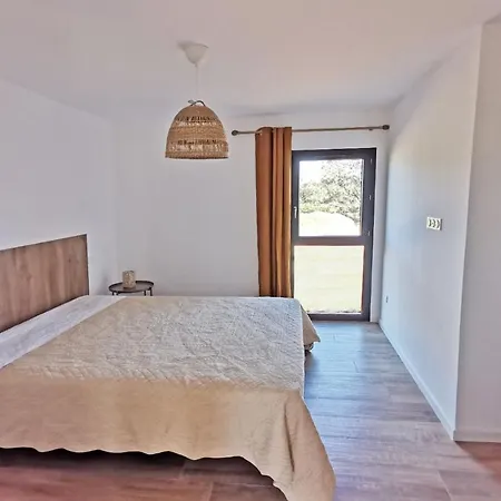 Apartment Petra Paolina *