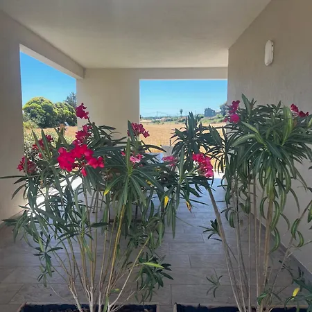 Petra Paolina Folelli