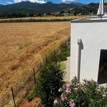 Petra Paolina * Folelli