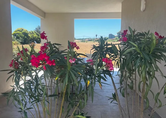 Petra Paolina Folelli