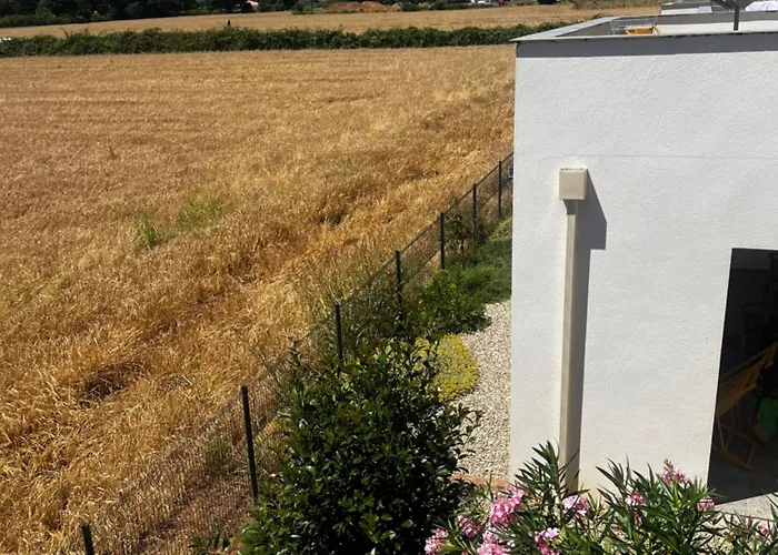 Petra Paolina * Folelli