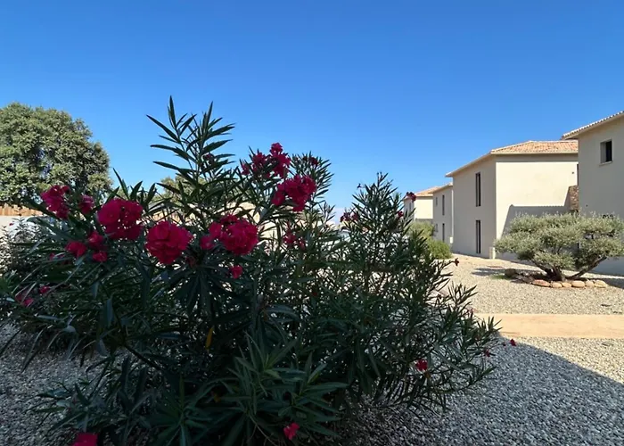 Lägenhet Petra Paolina